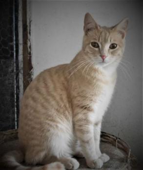 Bild von Yogi