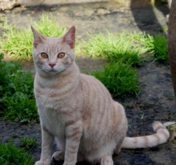 Bild von Yogi