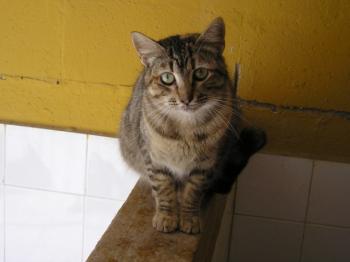 Lucilda Bild von Lucilda