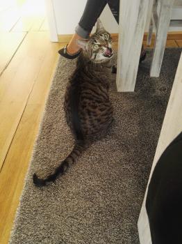 Wally Bild von Wally