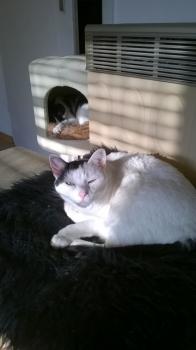 Bild von Gina