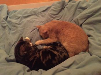 Bild von Phan