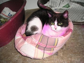 Milly Bild von Milly