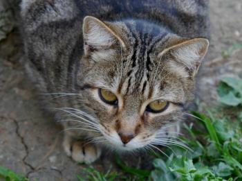 Rifi Bild von Rifi