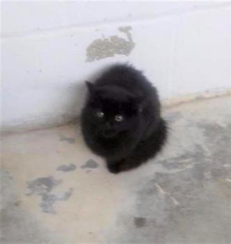 Finn Bild von Finn