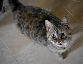 Hannah Bild von Hannah