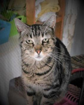 Tiki-Tike Bild von Tiki-Tike