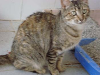 Lucilda Bild von Lucilda