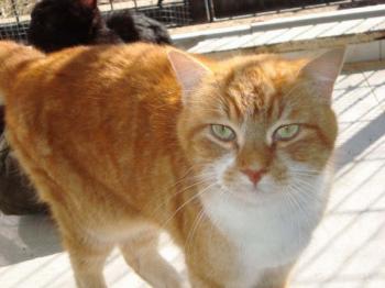 Tino Bild von Tino