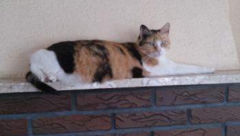 Sundra Bild von Sundra