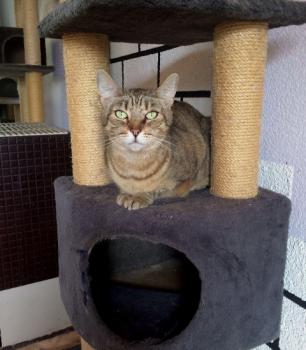 Kiomira Bild von Kiomira