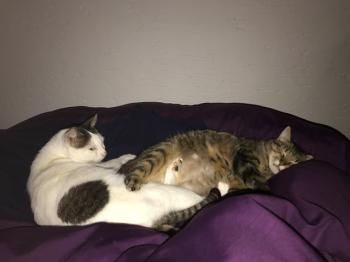 Yuki Bild von Yuki