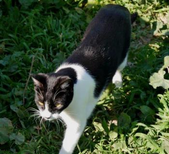 Bascha Bild von Bascha