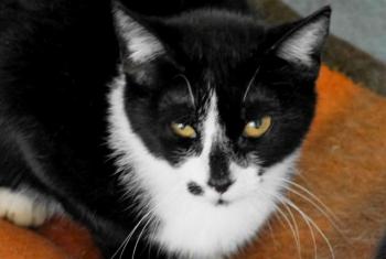 Cirah Bild von Cirah