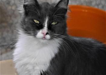 Nasha Bild von Nasha