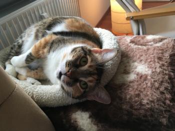 Marie Bild von Marie