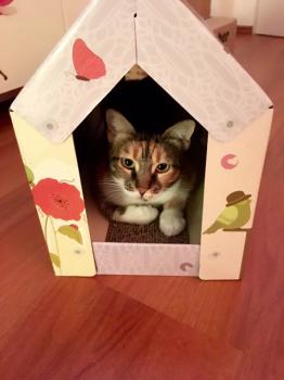 Marie Bild von Marie