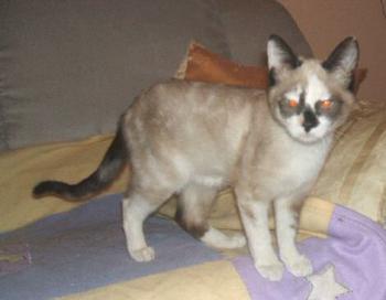 Zoey Knox Bild von Knox