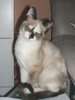 Zoey Knox Bild von Knox