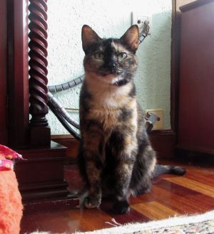Lola Bild von Lola
