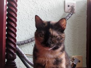 Lola Bild von Lola