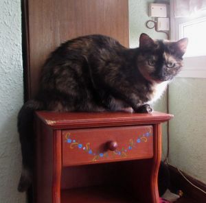 Lola Bild von Lola