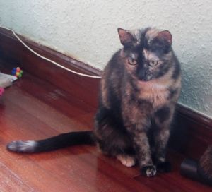 Lola Bild von Lola