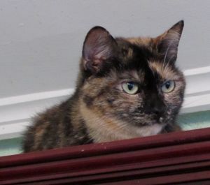 Lola Bild von Lola