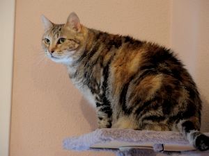Fiona Bild von Fiona