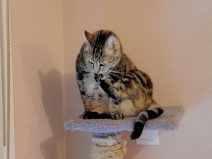 Fiona Bild von Fiona
