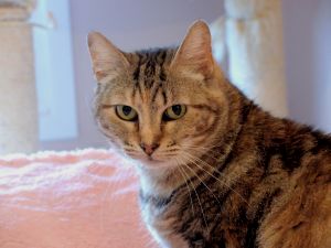 Fiona Bild von Fiona