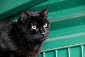 Simon Bild von Simon
