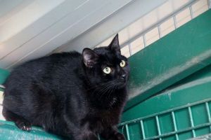 Simon Bild von Simon