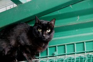 Simon Bild von Simon