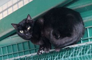 Simon Bild von Simon