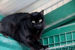 Simon Bild von Simon