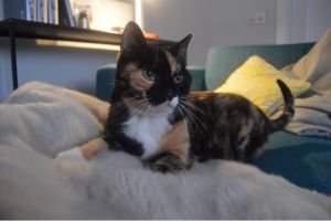 Alexia Bild von Alexia