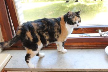 Bild von Muneca