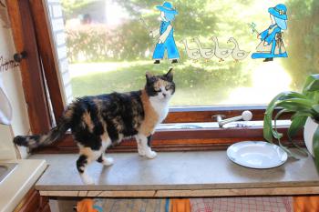 Bild von Muneca