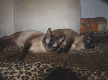 Samael und seine Freundin Bild von Samael