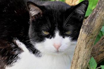 Pepa Bild von Pepa