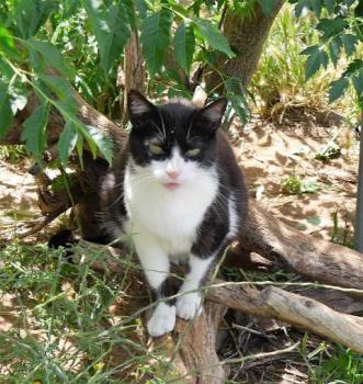 Pepa Bild von Pepa