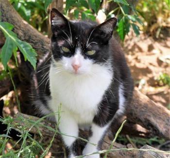 Pepa Bild von Pepa