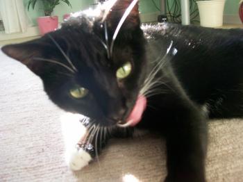 Lilly Bild von Lilly