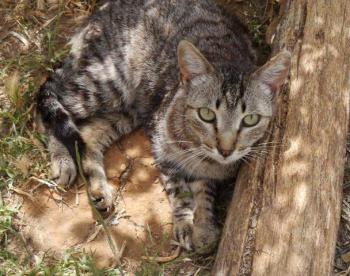 Simon Bild von Simon