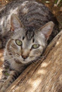 Simon Bild von Simon