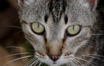 Simon Bild von Simon