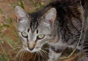 Simon Bild von Simon