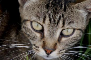 Simon Bild von Simon