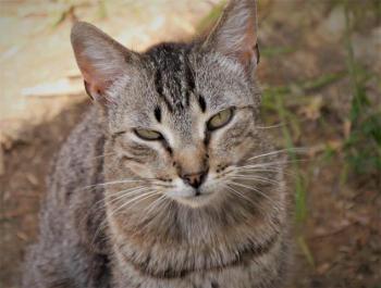 Simon Bild von Simon